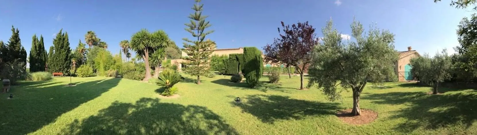 ****  Sa Cabana Hotel & Spa - Adults Only Consell Spanien